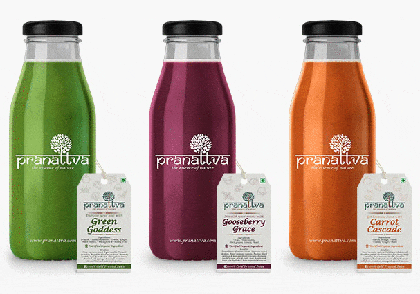 Pranattva Branding Website and Photography