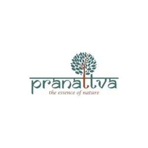 Pranattva Branding, Website & Photography